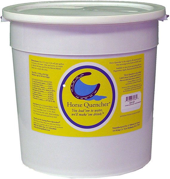 Horse Quencher Peppermint Flavor Crumble Horse Electrolyte Supplement