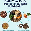 Show in main carousel: Solid Gold Mobility Support Beef & Vegetables Wet Dog Food, 3.5-oz cup, case of 6 slide 8 of 11