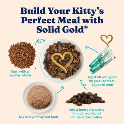 Show full view: Solid Gold Flavorful Feast Indoor Recipe with Real Chicken Grain-Free Gravy Pate Wet Cat Food, 3-oz, case of 12 slide 8 of 12