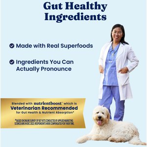 Solid Gold Digestive Support Chicken, Beef & Pumpkin Wet Dog Food, 3.5-oz cup, case of 6