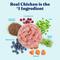 Show in main carousel: Solid Gold Leaping Waters Chicken & Salmon Recipe with Vegetable Recipe Grain-Free Small & Medium Breed Canned Dog Food, 13.2-oz, case of 6 slide 3 of 10