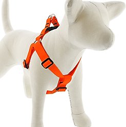 LupinePet Waterproof BioThane Step In Dog Harness, Neon Orange, Large: 24 to 38-in chest, 1-in wide