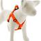 Show in main carousel: LupinePet Waterproof BioThane Step In Dog Harness, Neon Orange, Large: 24 to 38-in chest, 1-in wide slide 1 of 7