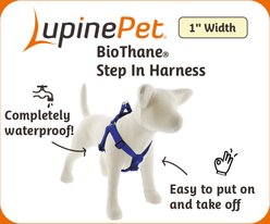 LupinePet Waterproof BioThane Step In Dog Harness, True Blue, Large: 24 to 38-in chest, 1-in wide slide 2 of 7