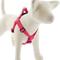 Show in main carousel: LupinePet Waterproof BioThane Step In Dog Harness, Neon Pink, Large: 24 to 38-in chest, 1-in wide slide 1 of 7