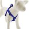 Show in main carousel: LupinePet Waterproof BioThane Step In Dog Harness, True Blue, Medium: 19 to 28-in chest, 1-in wide slide 1 of 7