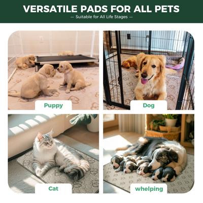 Show full view: FXW Washable Dog Pee Pads, Rectangle: 98 x 43-in, 1 count slide 7 of 9