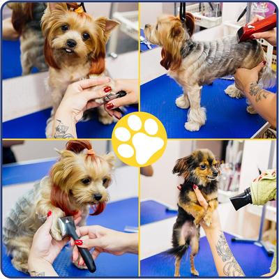 Show full view: LovMor Foldable Retractable Bath Dog & Cat Grooming Table, Blue, 36-in slide 7 of 9