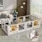 Show in main carousel: BingoPaw Tempered Glass Whelping Box Dog Pen, X-Large slide 6 of 10