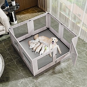 BingoPaw Tempered Glass Whelping Box Dog Pen, Large