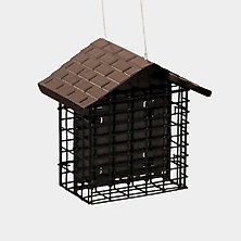 Suet Feeder