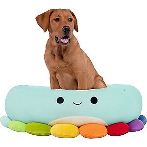 Hello Kitty Sanrio Keroppi Dog & Cat Bed with Removable Cover