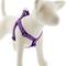 Show in main carousel: LupinePet Original Designs Jelly Roll Step In Dog Harness, Medium: 19 to 28-in chest, 1-in wide slide 1 of 6