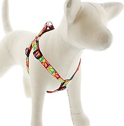 LupinePet Original Designs Crazy Daisy Step In Dog Harness, Medium/Large: 20 to 30-in chest, 3/4-in wide