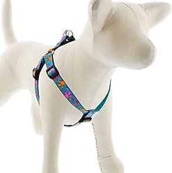 LupinePet Original Designs Wet Paint Step In Dog Harness, Medium/Large: 20 to 30-in chest, 3/4-in wide