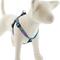 Show in main carousel: LupinePet Original Designs Wet Paint Step In Dog Harness, Medium/Large: 20 to 30-in chest, 3/4-in wide slide 1 of 6