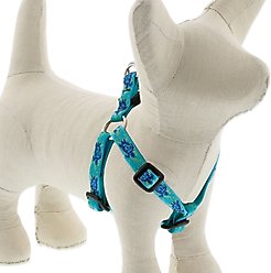 LupinePet Original Designs Turtle Reef Step In Dog Harness, Small: 12 to 18-in chest, 1/2-in wide