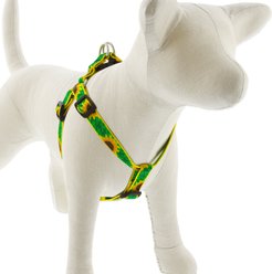 LupinePet Original Designs Sunflowers Step In Dog Harness, Medium/Large: 20 to 30-in chest, 3/4-in wide