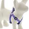Show in main carousel: LupinePet Original Designs Ripple Creek Step In Dog Harness, Small: 12 to 18-in chest, 1/2-in wide slide 1 of 6