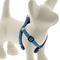 Show in main carousel: LupinePet Original Designs Rain Song Step In Dog Harness, Small: 12 to 18-in chest, 1/2-in wide slide 1 of 6