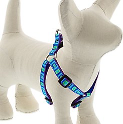 LupinePet Original Designs Sea Glass Step In Dog Harness, Small: 12 to 18-in chest, 1/2-in wide