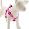 Show in main carousel: LupinePet Original Designs Puppy Love Step In Dog Harness, Large: 24 to 38-in chest, 1-in wide slide 1 of 7