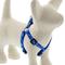 Show in main carousel: LupinePet Original Designs Dapper Dog Step In Dog Harness, X-Small: 10 to 13-in chest, 1/2-in wide slide 1 of 7