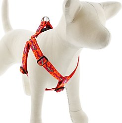 LupinePet Original Designs Go Go Gecko Step In Dog Harness, Large: 24 to 38-in chest, 1-in wide