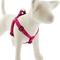 Show in main carousel: LupinePet Original Designs Plum Blossom Step In Dog Harness, Large: 24 to 38-in chest, 1-in wide slide 1 of 6