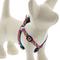 Show in main carousel: LupinePet Original Designs Lollipop Step In Dog Harness, Small: 12 to 18-in chest, 1/2-in wide slide 1 of 7