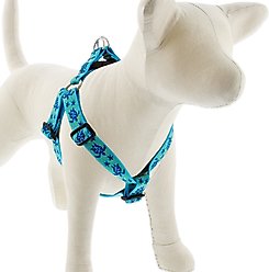 LupinePet Original Designs Turtle Reef Step In Dog Harness, Large: 24 to 38-in chest, 1-in wide