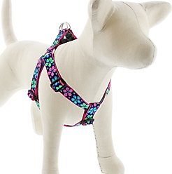 LupinePet Original Designs Flower Power Step In Dog Harness, Medium: 19 to 28-in chest, 1-in wide