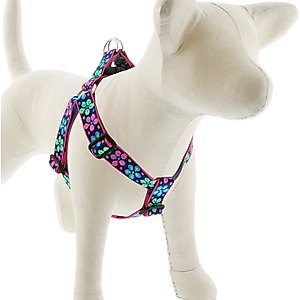 LupinePet Original Designs Flower Power Step In Dog Harness, Medium: 19 to 28-in chest, 1-in wide