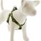Show in main carousel: LupinePet Original Designs Brook Trout Step In Dog Harness, Large: 24 to 38-in chest, 1-in wide slide 1 of 6