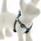 Show in main carousel: LupinePet Original Designs Sand Shark Step In Dog Harness, Small: 12 to 18-in chest, 1/2-in wide slide 1 of 6