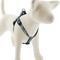 Show in main carousel: LupinePet Original Designs Sand Shark Step In Dog Harness, Medium/Large: 20 to 30-in chest, 3/4-in wide slide 1 of 6