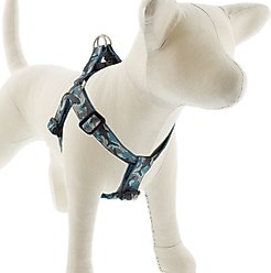 LupinePet Original Designs Sand Shark Step In Dog Harness, Large: 24 to 38-in chest, 1-in wide