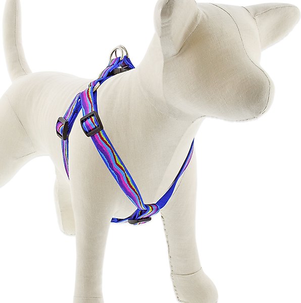 Show full view: LupinePet Original Designs Ripple Creek Step In Dog Harness, Medium/Large: 20 to 30-in chest, 3/4-in wide slide 1 of 6