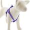 Show in main carousel: LupinePet Original Designs Ripple Creek Step In Dog Harness, Medium/Large: 20 to 30-in chest, 3/4-in wide slide 1 of 7