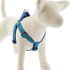 LupinePet Original Designs Rain Song Step In Dog Harness, Medium: 19 to 28-in chest, 1-in wide