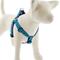 Show in main carousel: LupinePet Original Designs Rain Song Step In Dog Harness, Medium: 19 to 28-in chest, 1-in wide slide 1 of 7