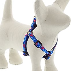 LupinePet Original Designs Social Butterfly Step In Dog Harness, Small: 12 to 18-in chest, 1/2-in wide