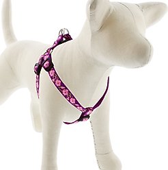 LupinePet Original Designs Rose Garden Step In Dog Harness, Small: 15 to 21-in chest, 3/4-in wide