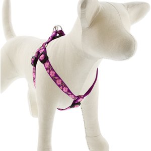 LupinePet Original Designs Rose Garden Step In Dog Harness, Small: 15 to 21-in chest, 3/4-in wide