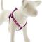 Show in main carousel: LupinePet Original Designs Rose Garden Step In Dog Harness, Medium/Large: 20 to 30-in chest, 3/4-in wide slide 1 of 6
