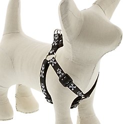 LupinePet Original Designs Bling Bonz Step In Dog Harness, X-Small: 10 to 13-in chest, 1/2-in wide