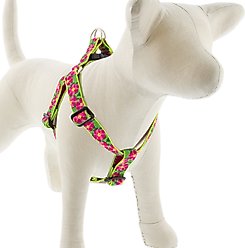 LupinePet Original Designs Petunias Step In Dog Harness, Medium: 19 to 28-in chest, 1-in wide slide 1 of 6