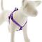 Show in main carousel: LupinePet Original Designs Jelly Roll Step In Dog Harness, Medium/Large: 20 to 30-in chest, 3/4-in wide slide 1 of 6