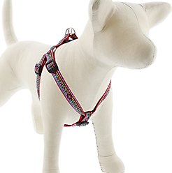 LupinePet Original Designs El Paso Step In Dog Harness, Medium/Large: 20 to 30-in chest, 3/4-in wide