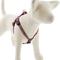 Show in main carousel: LupinePet Original Designs El Paso Step In Dog Harness, Medium/Large: 20 to 30-in chest, 3/4-in wide slide 1 of 6